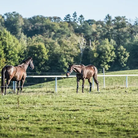 Albertovec Apartamento Opava