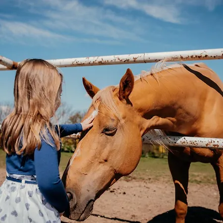 Albertovec Apartamento