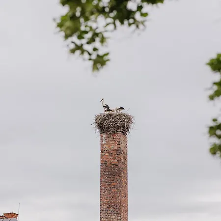 Albertovec